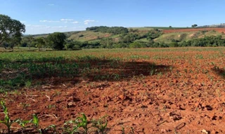 Imóvel 2772920 [''] - ['BR 354KM 10, LUGAR CAPÃO D’AGUA, ARAGÃO, XAVIER E LAGOA SECA- DENOMINADA FAZENDA XAVIER, ARAGÃO E MATABURROS'] [''] - ['Patos De Minas']/['MG'] - 1