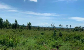 Imóvel 2214620 [''] - ['FAZENDA GAMELEIRA- DISTRITO DE SÃO BRÁS'] [''] - ['Lagamar']/['MG'] - 1
