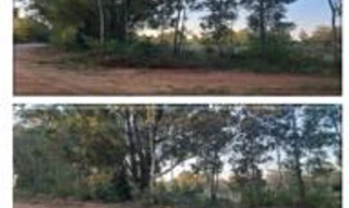 Imóvel 2550920 [''] - ['lote 36, quadra 9, Lot. Rural Eldorado, IVª parte'] [''] - ['Eldorado Do Sul']/['RS'] - 1