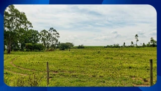 Imóvel 2663220 [''] - [', SN'] [''] - ['Itaueira']/['PI'] - 1