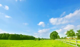 Imóvel 1808021 [''] - ['FAZENDA SALITRE'] [''] - ['Presidente Olegário']/['MG'] - 1