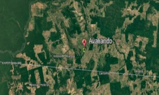 Imóvel 2717221 [''] - ['São Félix do Xingu - PA'] [''] - ['São Félix Do Xingu']/['PA'] - 1