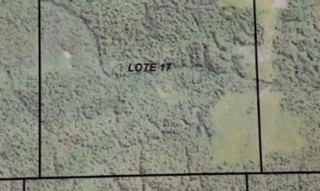 Imóvel 2805521 [''] - ['Gleba São Francisco, Lote 17'] [''] - ['Colniza']/['MT'] - 1