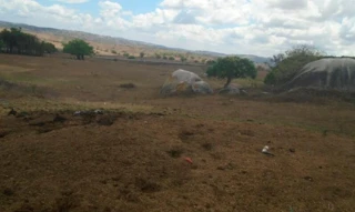 Imóvel 2750221 [''] - ['Sítio Riachão do Veríssimo, Cupira'] [''] - ['Cupira']/['PE'] - 1