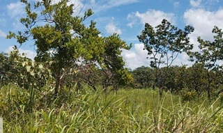 Imóvel 2632922 [''] - ['Rua Paraná, s/n, Quadra 12, Chacará 07, Chácaras Vera Cruz, Luziânia, GO, 13349-200, , Luziânia/GO'] [''] - ['Luziânia']/['GO'] - 1