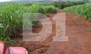 Imóvel 2532722 [''] - ['Área Rural, S/N, Área Rural de Pirassununga'] [''] - ['Pirassununga']/['SP'] - 1