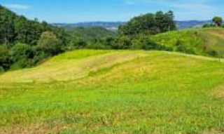 Imóvel 2683222 [''] - ['Linha Alto Santa Terezinha, S/N, Parte do Lote Colonial nº 261, Interior, União do Oeste, SC, 898, , União do Oeste/SC'] [''] - ['União Do Oeste']/['SC'] - 1