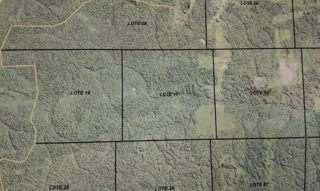 Imóvel 2805522 [''] - ['Gleba São Francisco, Lote 16, Município de Colniza/MT'] [''] - ['Colniza']/['MT'] - 1