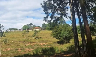 Imóvel 2892322 [''] - ['Fazenda Monte Claro, Gleba Canta Galo, Bairro Três Passagem'] [''] - ['Ribeirão Claro']/['PR'] - 1