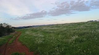 Imóvel 2737622 [''] - ['Interior'] [''] - ['Maximiliano De Almeida']/['RS'] - 1