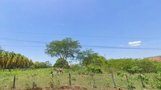 Imóvel 2646022 [''] - ['Canto Do Buriti , S/N'] [''] - ['Canto Do Buriti']/['PI'] - 1