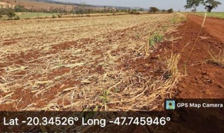 Imóvel 2820822 [''] - ['FAZENDA SOBRADO, SÍTIO TRÊS IRMÃS'] [''] - ['Ituverava']/['SP'] - 1