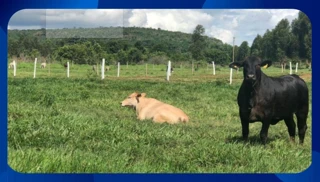 Imóvel 2022222 [''] - [', SN - Pina'] ['Pina'] - ['Recife']/['PE'] - 1