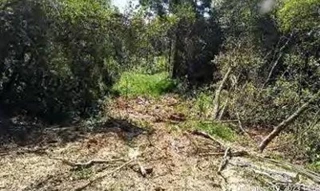 Imóvel 2793922 [''] - ['Terreno rural situado no Bairro das Pedras'] [''] - ['Castro']/['PR'] - 1