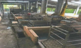 Imóvel 2628523 [''] - ['Chácara Quaxi e Cantinho Feliz, S/N, Zona Rural, Entre Rios, BA, 48180-000, , Entre Rios/BA'] ['Bela vista'] - ['Entre Rios']/['BA'] - 1