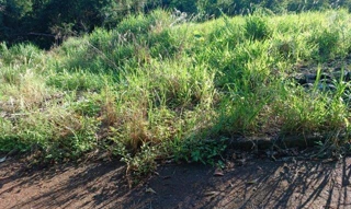 Imóvel 2655323 [''] - ['Rua 18'] ['UNIVERSIDADE'] - ['Londrina']/['PR'] - 1