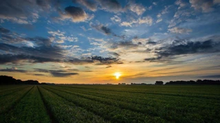 Imóvel 1701723 [''] - ['Rod. Washington Luiz'] [''] - ['Duque De Caxias']/['RJ'] - 1