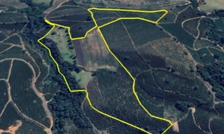 Imóvel 2524223 [''] - ['Fazenda Bela Vista, - São Gonçalo do Sapucaí - MG'] [''] - ['São Gonçalo Do Sapucaí']/['MG'] - 1