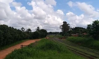 Imóvel 2621123 [''] - ['Fazenda Fortaleza,'] [''] - ['Tanabi']/['SP'] - 1