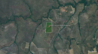 Imóvel 2559523 [''] - ['Fazenda Carioba II, São Felix de Balsas'] [''] - ['São Félix De Balsas']/['MA'] - 1