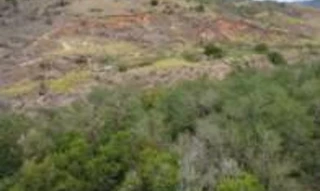 Imóvel 2520324 [''] - ['BR-482, lugar denominado Duas Barras, distrito da sede de Cachoeiro de Itapemirim'] [''] - ['Cachoeiro De Itapemirim']/['ES'] - 1