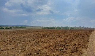 Imóvel 2505124 [''] - [''] [''] - ['Novo São Joaquim']/['MT'] - 1