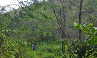 Imóvel 2389724 [''] - ['Fazenda Santana'] [''] - ['Uibaí']/['BA'] - 1