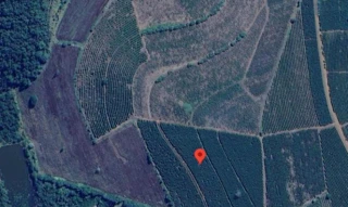 Imóvel 2378824 [''] - ['Fazenda Dourado'] [''] - ['Machado']/['MG'] - 1