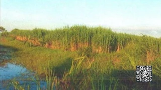 Imóvel 1740024 [''] - [', 106 - Centro'] ['Centro'] - ['Rio De Janeiro']/['RJ'] - 1