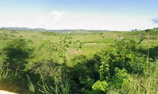 Imóvel 2655224 [''] - ['Branquinha, AL'] [''] - ['Branquinha']/['AL'] - 1