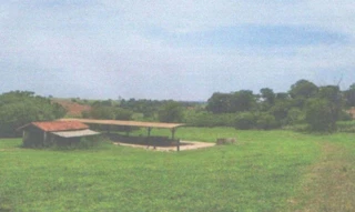Imóvel 2356924 [''] - ['Estrada do Tijuco KM 07 - Município de Monte Alto - Comarca de Monte Alto Estado de São Paulo'] ['Tijuco'] - ['Monte Alto']/['SP'] - 1