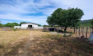 Imóvel 2762524 [''] - ['Sertânia, PE'] [''] - ['Sertânia']/['PE'] - 1