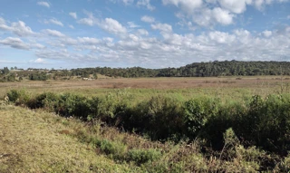 Imóvel 2646724 [''] - ['lugar denominado rio pequeno, imóvel Boa vista'] [''] - ['Inácio Martins']/['PR'] - 1