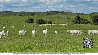 Imóvel 2430825 [''] - ['ZONA RURAL'] [''] - ['Brumadinho']/['MG'] - 1