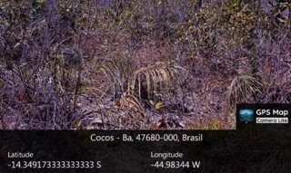 Imóvel 2486725 [''] - ['Fazenda Mundo Novo, Cajueiro, Fazenda Bela Vista'] [''] - ['Cocos']/['BA'] - 1