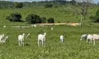Imóvel 2359625 [''] - [''] [''] - ['Contagem']/['MG'] - 1