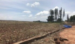 Imóvel 2534625 [''] - ['Gleba Fazenda Americana'] [''] - ['Nova América Da Colina']/['PR'] - 1