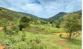 Imóvel 2892125 [''] - ['Gleba de terras localizada no lugar denominado Fazenda Geral Cochá, Gibão e Flexeiras no lugar denominado Fleixeiras, com nova denominação de Fazenda Sonho Meu'] [''] - ['Montalvânia']/['MG'] - 1