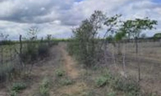 Imóvel 2356025 [''] - ['Sítio Boa Esperança, Fazenda Lagoa'] [''] - ['Dormentes']/['PE'] - 1