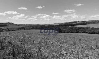 Imóvel 2417625 [''] - ['Comunidade São Bento, Município de Corbélia/PR'] [''] - ['Corbélia']/['PR'] - 1