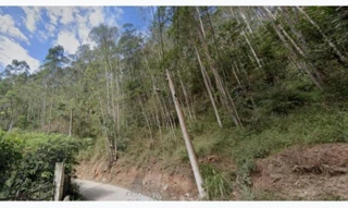 Imóvel 2747825 [''] - ['Avenida Walter Machado Thedin, Mury, Nova Friburgo/RJ'] ['Mury'] - ['Nova Friburgo']/['RJ'] - 1