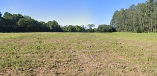 Imóvel 2556325 [''] - ['Morro Preá, município de Bom Princípio'] [''] - ['Bom Princípio']/['RS'] - 1