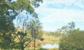 Imóvel 2683426 [''] - [''] [''] - ['São Roque De Minas']/['MG'] - 1