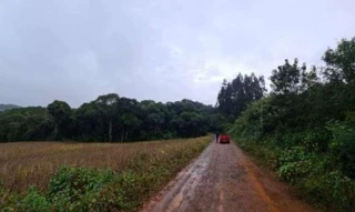 Imóvel 2742126 [''] - [''] [''] - ['David Canabarro']/['RS'] - 1