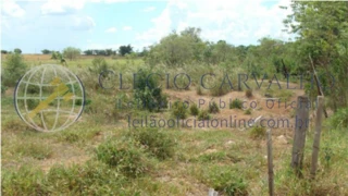 Imóvel 2332026 [''] - ['Rodovia Comandante João Ribeiro de Barros (SP-294), KM 651+913m, - Bairro das Antas Dracena - SP'] [''] - ['Dracena']/['SP'] - 1