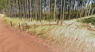 Imóvel 2852126 [''] - ['LOTE RURAL Nº 137-A DO 38º PERÍMETRO, DA FAZENDA BRITÂNIA'] [''] - ['Mercedes']/['PR'] - 1