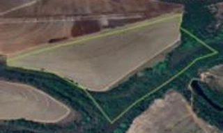 Imóvel 2530426 [''] - ['Rodovia GO-341, altura do KM 67, à direita 13km, Zona Rural de Mineiros'] [''] - ['Mineiros']/['GO'] - 1