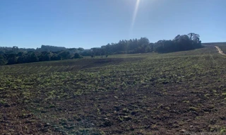 Imóvel 2535626 [''] - [''] [''] - ['outras']/['na'] - 1