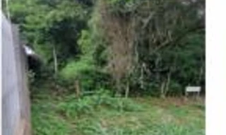 Imóvel 2547527 [''] - ['Rodovia Sebastião Toledo dos Santos, Bairro Coloninha Zilli'] ['Coloninha Zilli'] - ['Criciúma']/['SC'] - 1