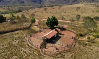 Imóvel 2716227 [''] - ['Fazenda Santa Rosa, s/nº, Antiga Fazenda Gado Bravo, Zona Rural, Buritis, MG, 38660-000, , Buritis/MG'] [''] - ['Buritis']/['MG'] - 1